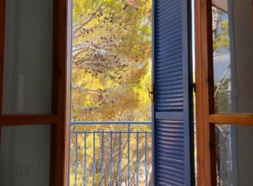 a casa di ludo dettagli