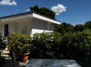 a casa di ludo dettagli (4)